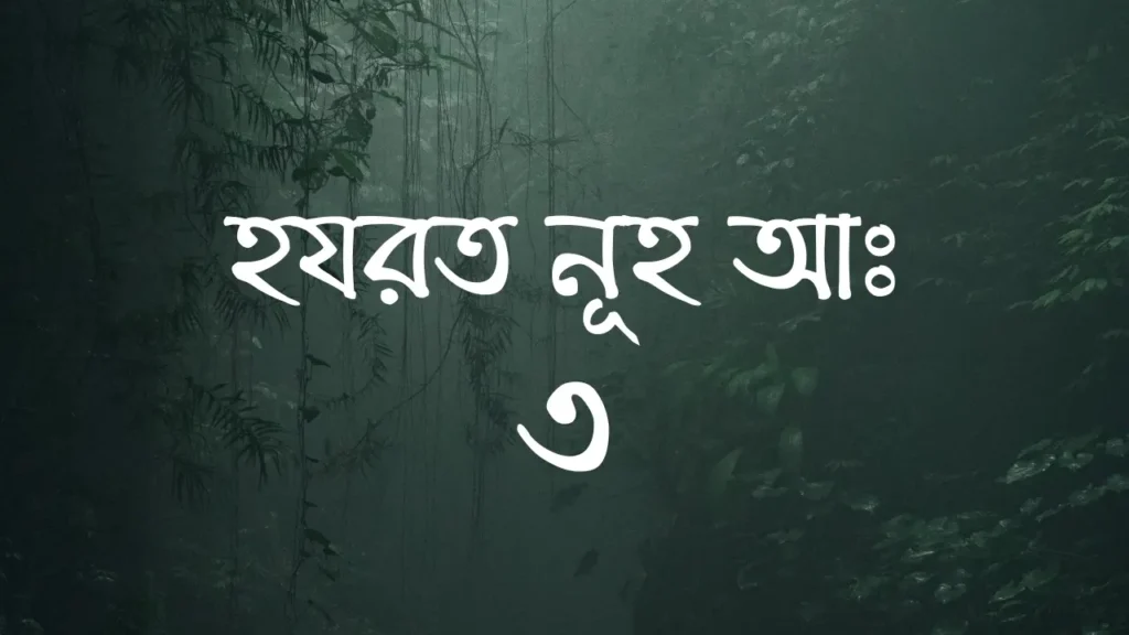 হযরত নূহ আঃ এর পরিচয় ও বিশেষ ঘটনা