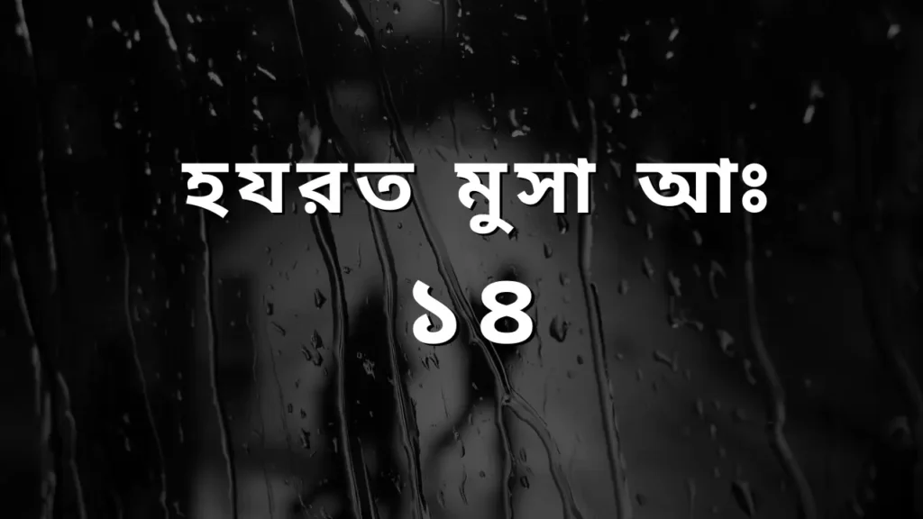 হযরত মুসা আঃ এর পরিচয় ও বিশেষ ঘটনা