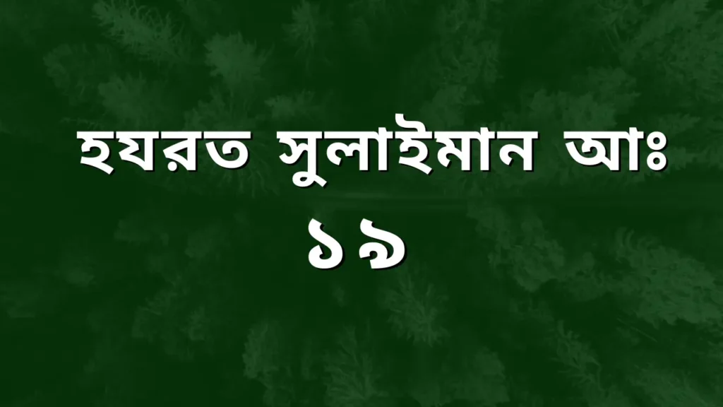 হযরত সুলাইমান আঃ এর পরিচয় ও বিশেষ ঘটনা