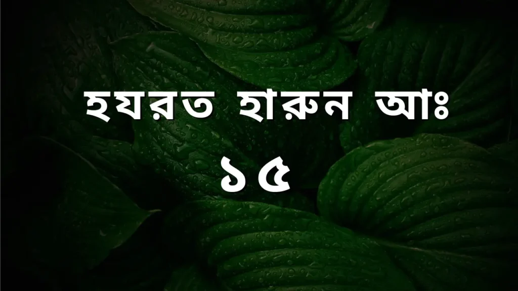 হযরত হারুন আঃ এর পরিচয় ও বিশেষ ঘটনা